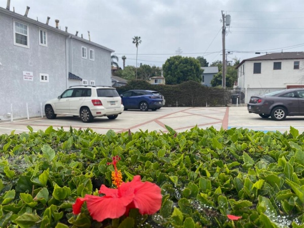 Ocean Park Inn image 11